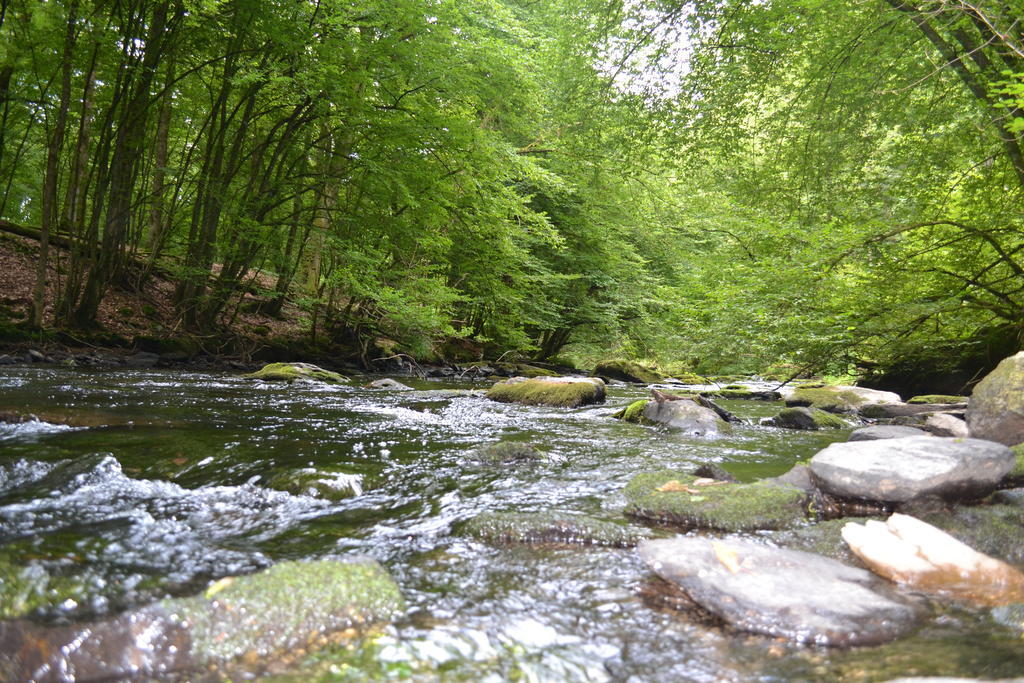 La Clef Des Champs Libin