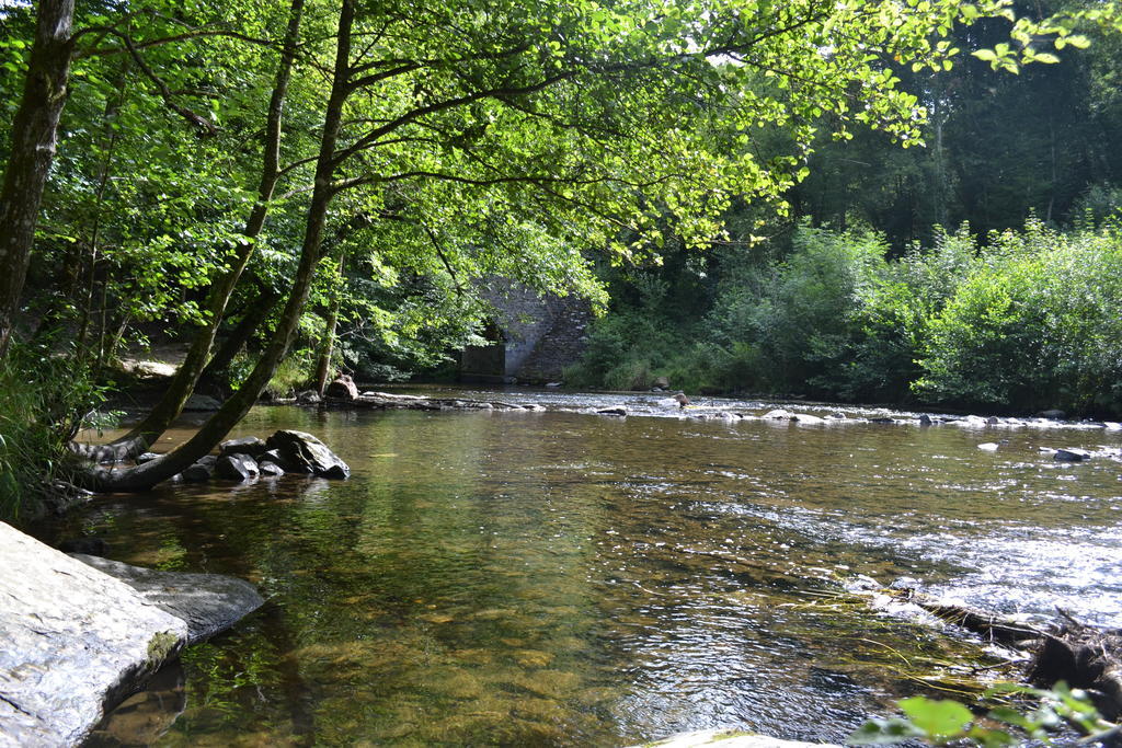 Holiday home La Clef Des Champs Libin