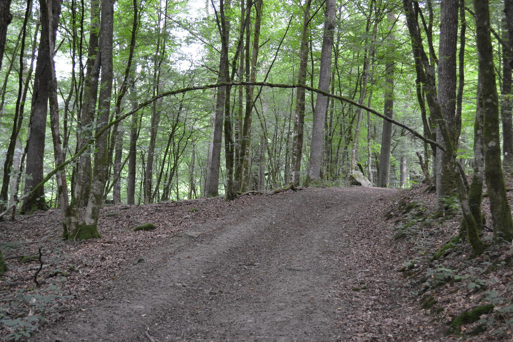 La Clef Des Champs Libin
