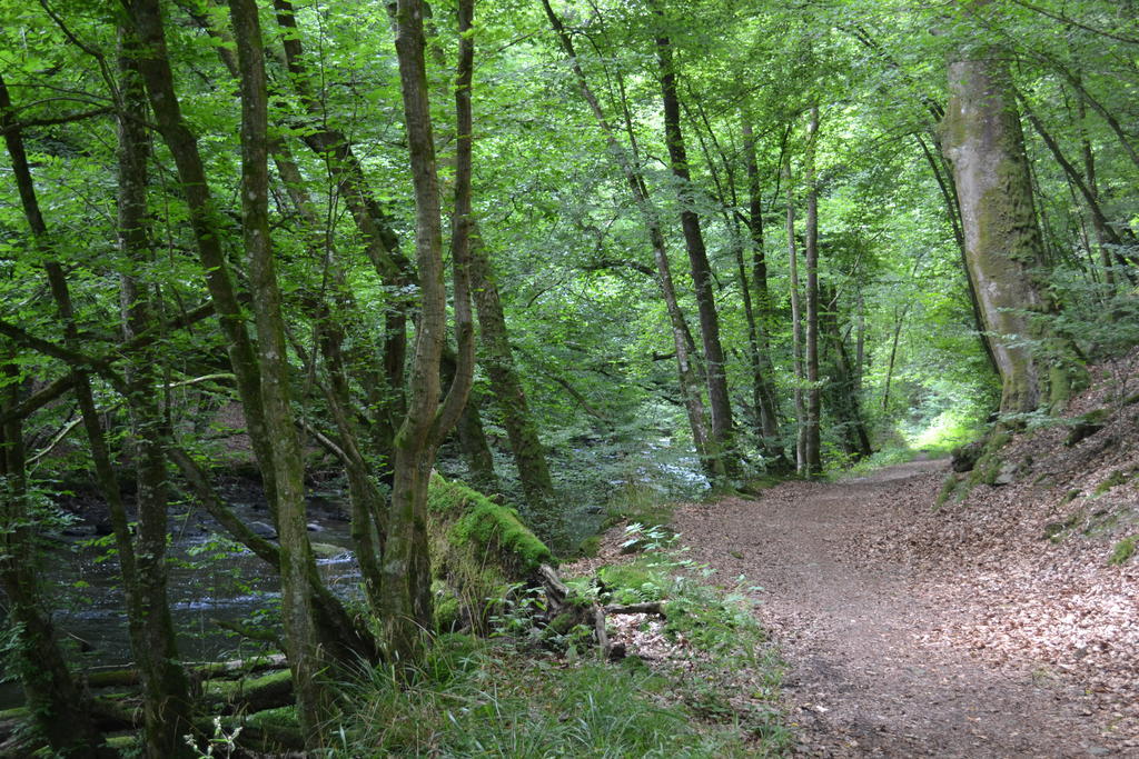 La Clef Des Champs Libin